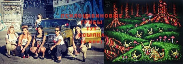 хмурый Бородино