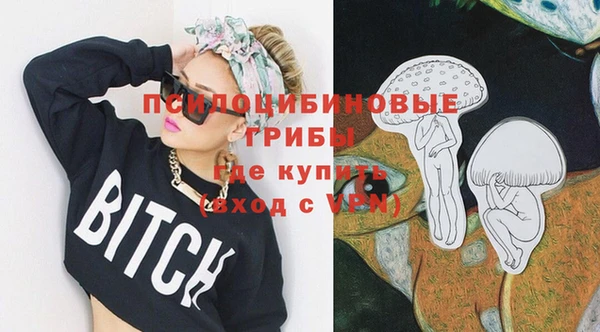 хмурый Бородино