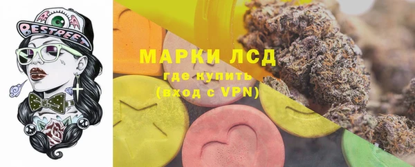 хмурый Бородино